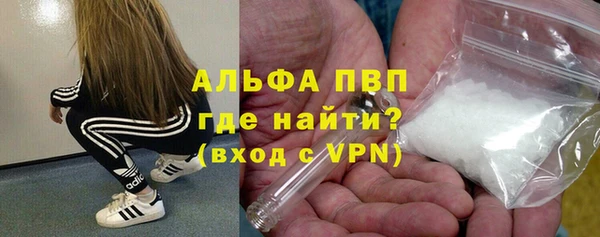 гидра Чекалин